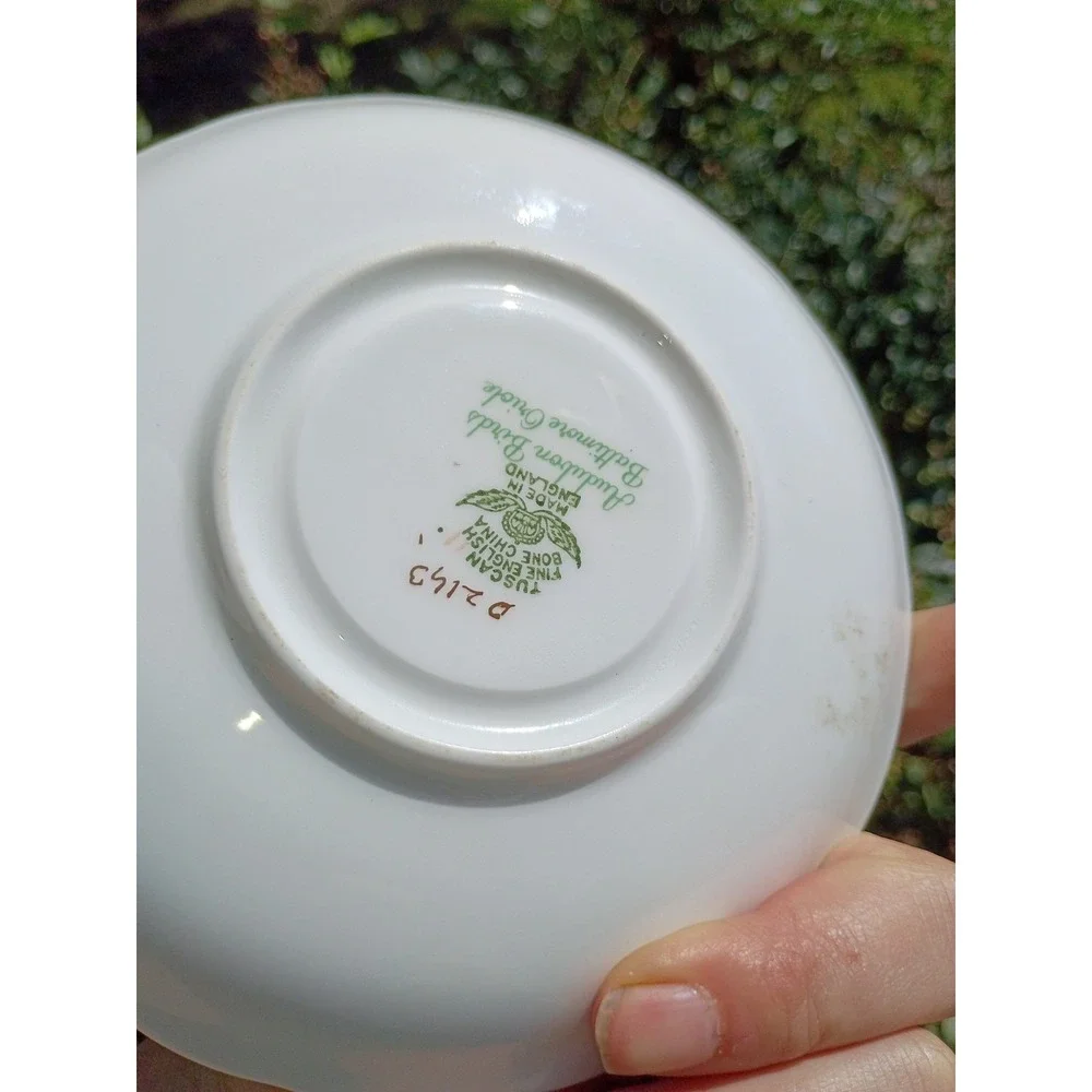 Tuscan Audubon Birds Baltimore Oriole Bone China Saucer only - NO CUP